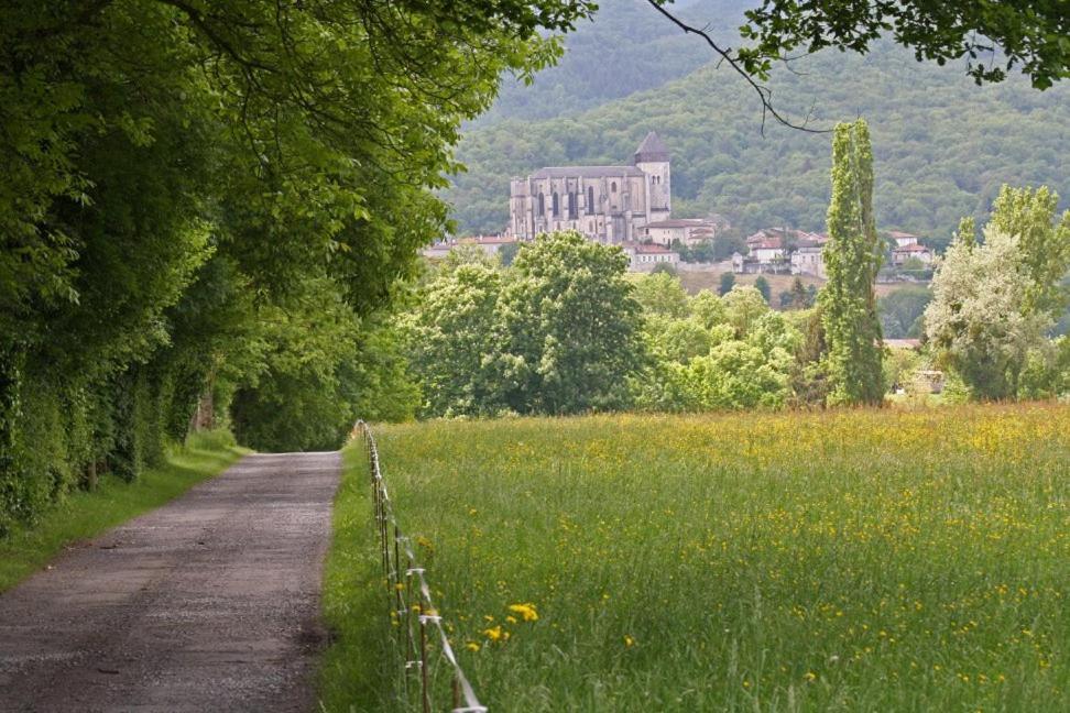 Chateau De Vidaussan Labroquere Экстерьер фото